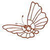 libellule
