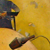 Nono13008