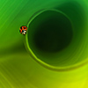 toto01