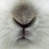alex_ecn
