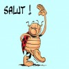 Paladio