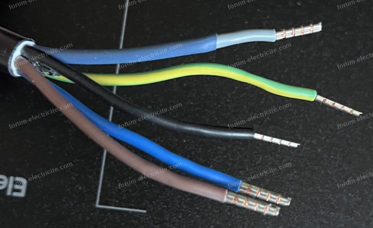 branchement plaque induction electrolux eis62356iz 2