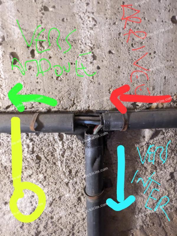 branchement prise sur circuit ampoule