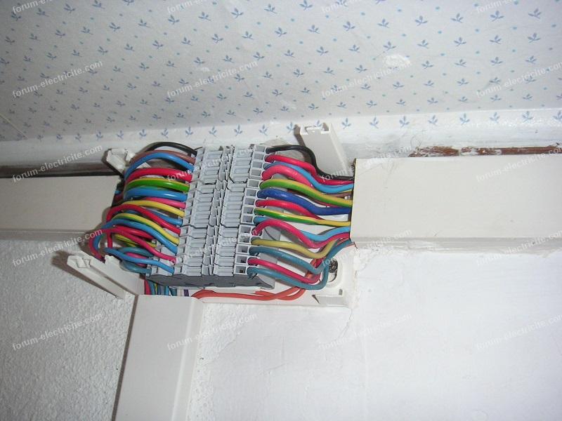 doublon 401442 pict8488