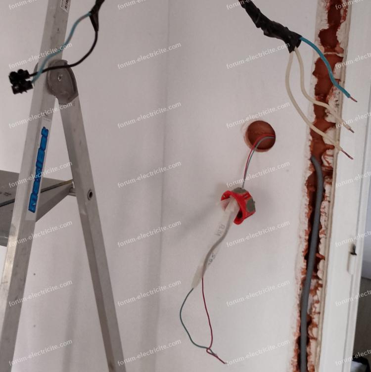 rebrancher fils double interrupteur